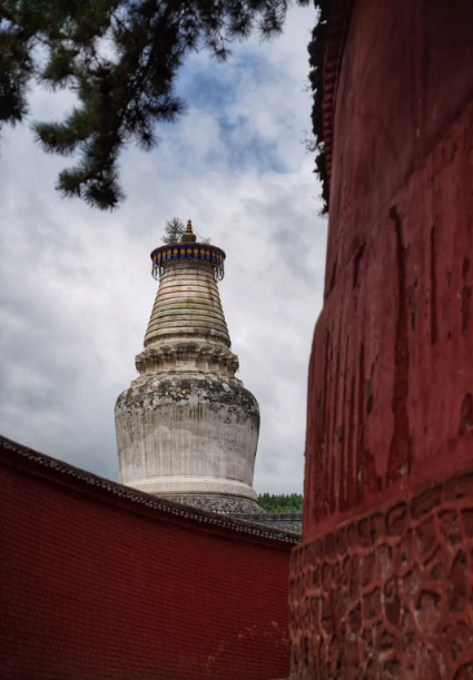 圖片.png 圖片.png